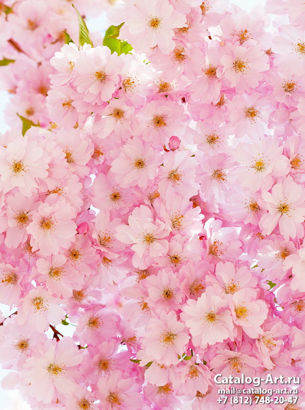 Blossom tree 77